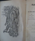 Wasser- und Ziergeflügel. Illustrirtes Handbuch zur Beurtheilung der racen und Schläge unseres Wasser- und Ziergeflügels.